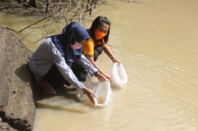 <center>Penebaran Benih Ikan dan Pembagian Bibit Tanaman</center> video